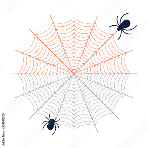 Spider web with two spiders, flat design illustration