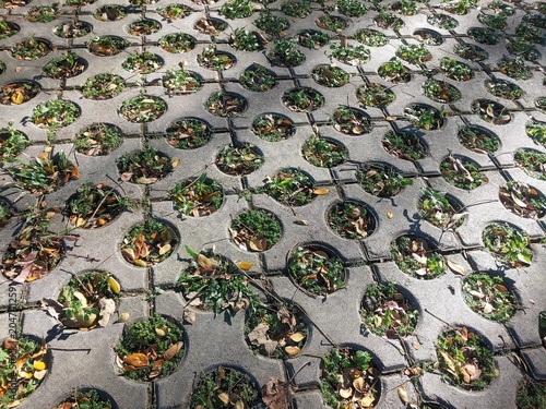 Cuadro en lienzo Top view of circular holes concrete grass pavers for grass growth and allowing w