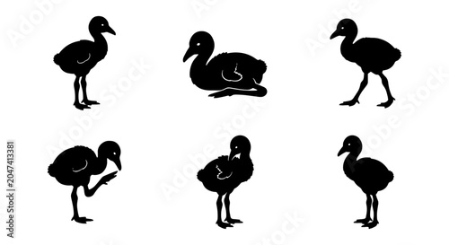 Foto Adorable Duckling Silhouettes, Cute Baby Bird Poses, Simple Black and White Vect