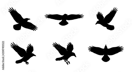 Bild auf Leinwand Black Crow Silhouettes, Flying Birds Vector Set, Avian Wildlife Graphic Elements
