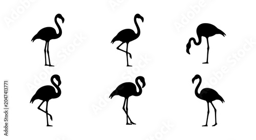 Bild auf Leinwand Flamingo Silhouettes Collection, Tropical Bird Icons, Elegant Wildlife Graphics,