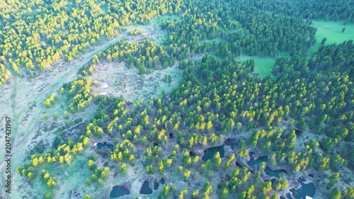 Aerial Forest Road Through Bright Clearing