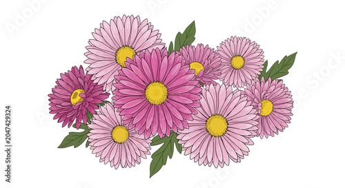 Billede på lærred A bouquet of pink aster flowers is drawn on a white background.