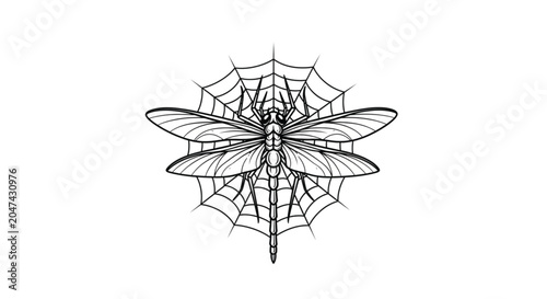 Canvas Print Dragonfly caught in a spider web.