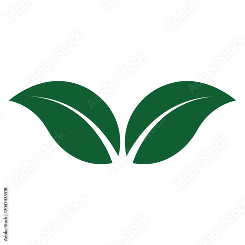 green leaf vector illustration