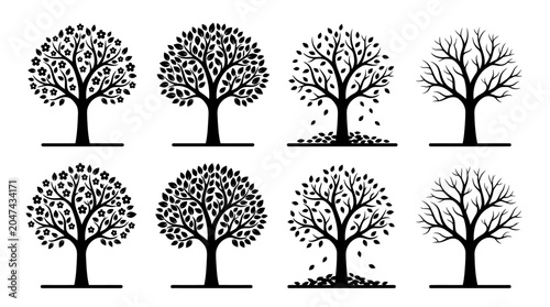 Silhouette vector icon set showing tree changes through seasons, blooming tree, leafy tree, falling leaves tree, bare winter tree