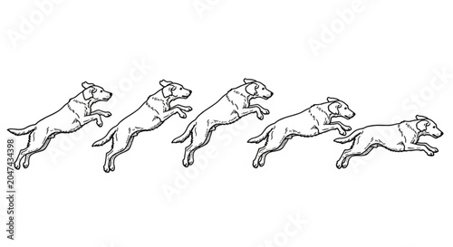 Photos Dogs Running in Line Art Style.