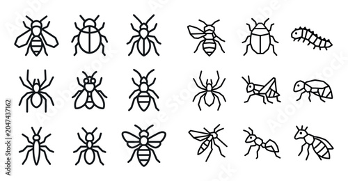 Insect icons with bee ant and beetle outline
