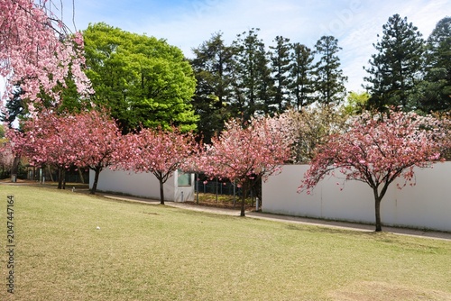 Kanazawama, Japan