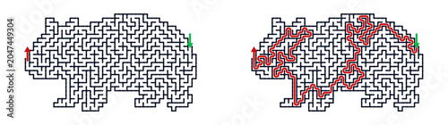 Maze puzzle featuring wombat with solution illustration for kids’ activity  