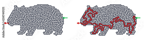 Wombat maze with solution showing the path in red lines  