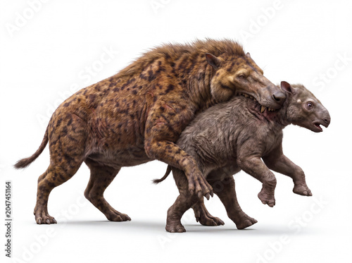 Andrewsarchus mongoliensis capturing a juvenile herbivorous megafaunal mammal during a predatory hunt, displaying natural hunting behavior and accurate anatomy in a detailed scientific paleomammal rec