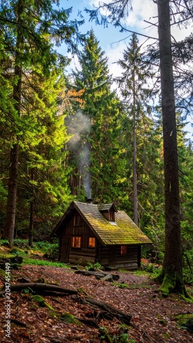 Rustic Wooden Cabin Nestled Among Tall Evergreen Trees in Sunlit Forest