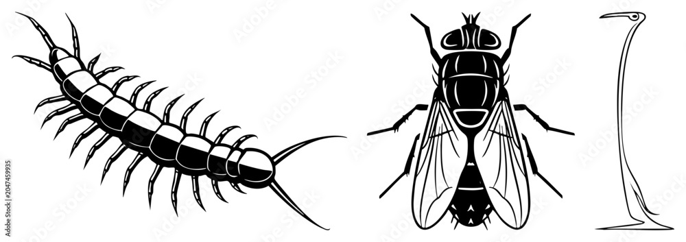 Fototapeta premium Set of minimalist black silhouettes featuring a creepy centipede, a common housefly, and a slender bird. These insect and avian capture diverse wildlife shapes in a clean graphic style.