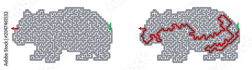 Maze design shaped like a crow with solution path highlighted  