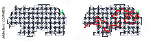 Maze illustration depicting a bear with solution path highlighted