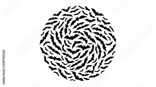 Black and white zebra pattern ball.