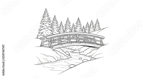 Wooden bridge over a stream.
