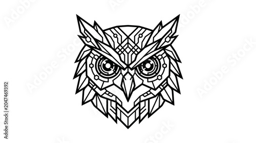 Detailed illustration of an owl's face.