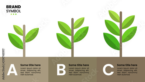 Infographic template. Plant growth in 3 steps