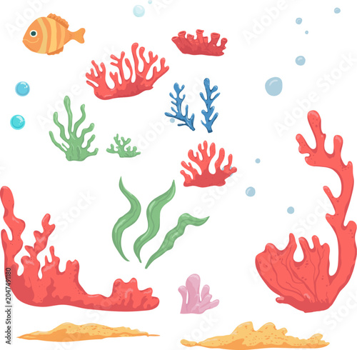 Photography Corals and algae, fish and sand, the collection is hand-painted