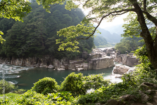 Japan landscape on a cloudy winter day.