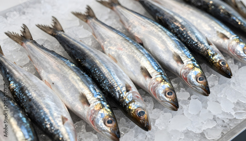 Close-up of fresh whole sardines displayed on crushed ice at a seafood market. Shiny silver fish arranged in rows, highlighting freshness, healthy nutrition, and commercial seafood retail. foto, macro