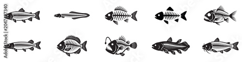 Foto Fish skeleton icon set