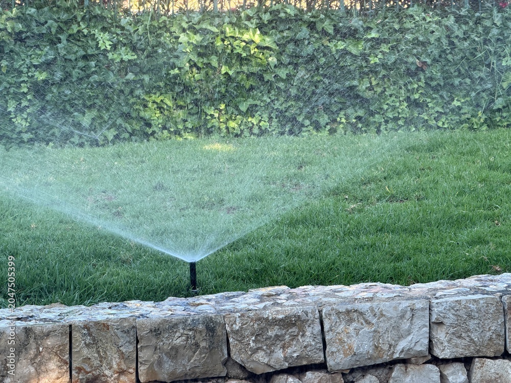 Fototapeta premium Sprinkler irrigating lush green lawn in a modern garden, providing essential water for growth, maintenance, and a healthy vibrant landscape