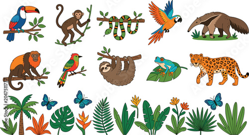 Photography Tropical rainforest animals and exotic plants vector illustration set with jagua