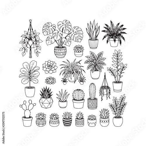 Collection of potted plants and succulents illustration