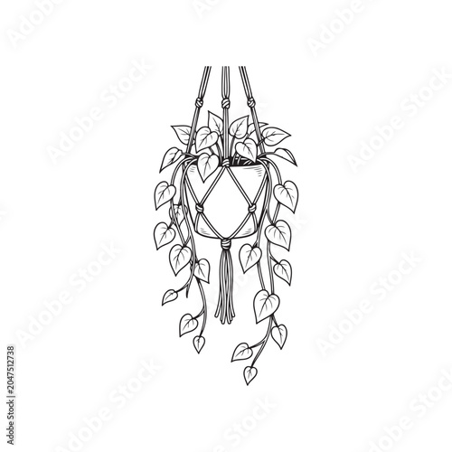 Hanging Plant with Heart Shaped Leaves in Macrame