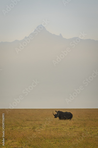 Black rhino on plain beneath Mount Kenya