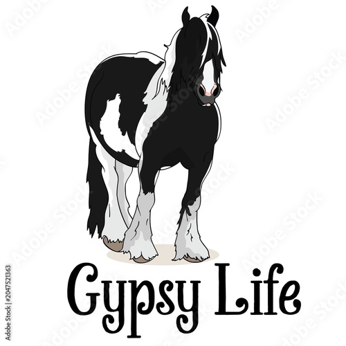 Obraz na plátně Gypsy Life