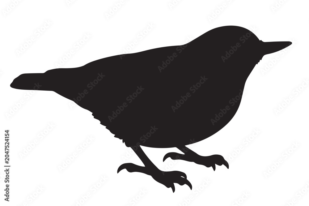 Fototapeta premium Dark-Eyed Junco Bird Black Silhouette Isolated Vector Graphic Asset