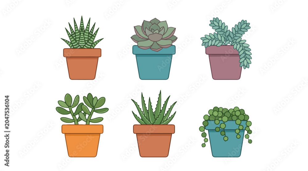 Fototapeta premium Succulent plants, potted cacti, vector icons, colorful illustrations, garden elements, decorative plants isolated on White Background vector eps silhouette