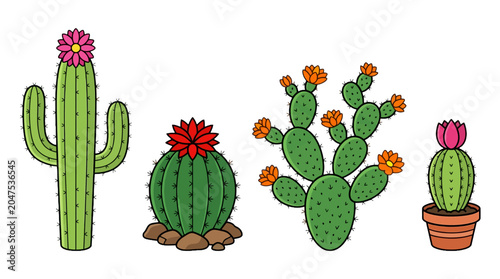 Foto Colorful cactus icons, prickly plants, desert flowers, vector illustrations isol
