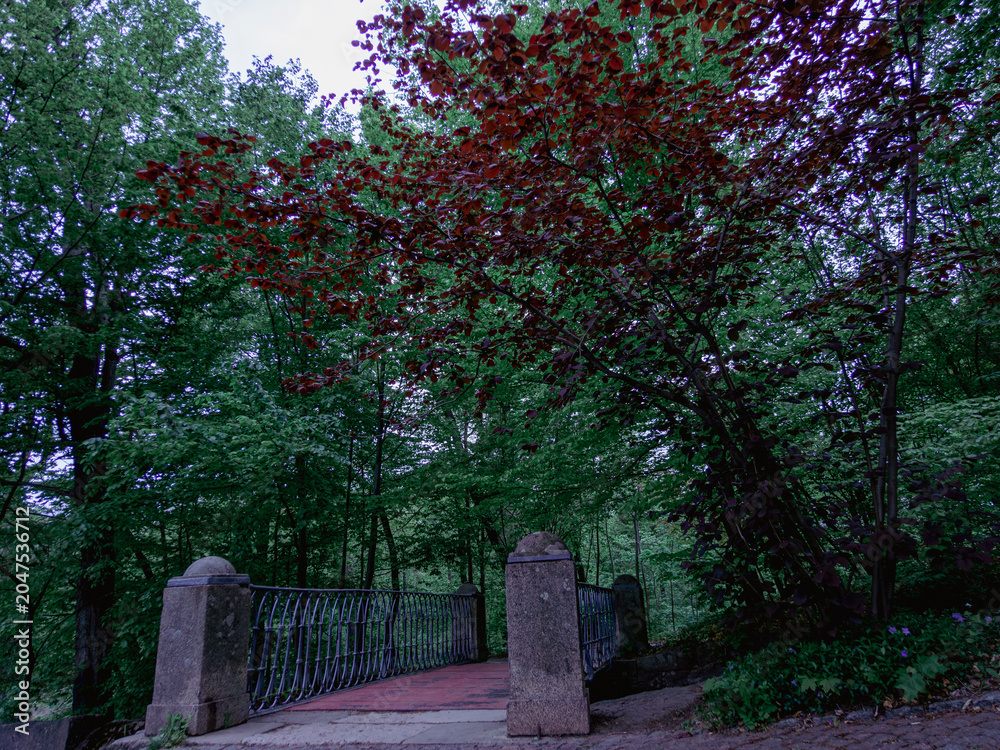 Obraz premium Historic footbridge with wrought iron railing in moody woodland setting 