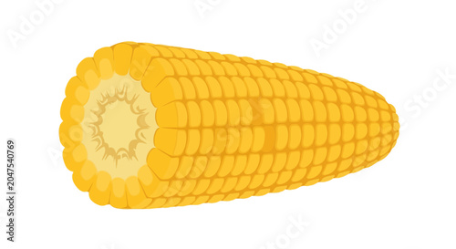 Fotografie Fresh yellow corn cob illustration on a white background