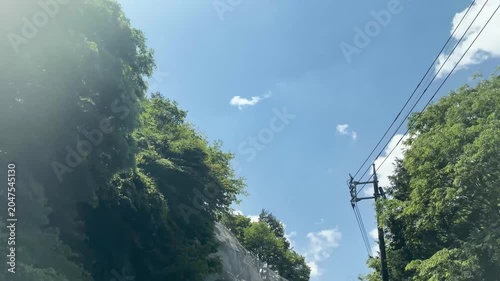 山峠道を車で進みながら初夏の木々が過ぎ去っていく爽やかな自然風景