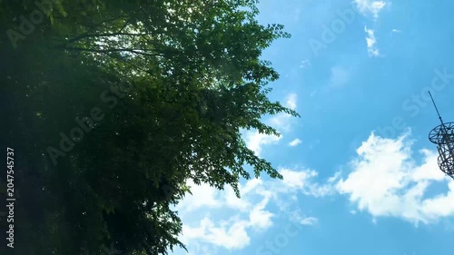 緑豊かな峠道をドライブする初夏の爽快な車窓映像と森林風景