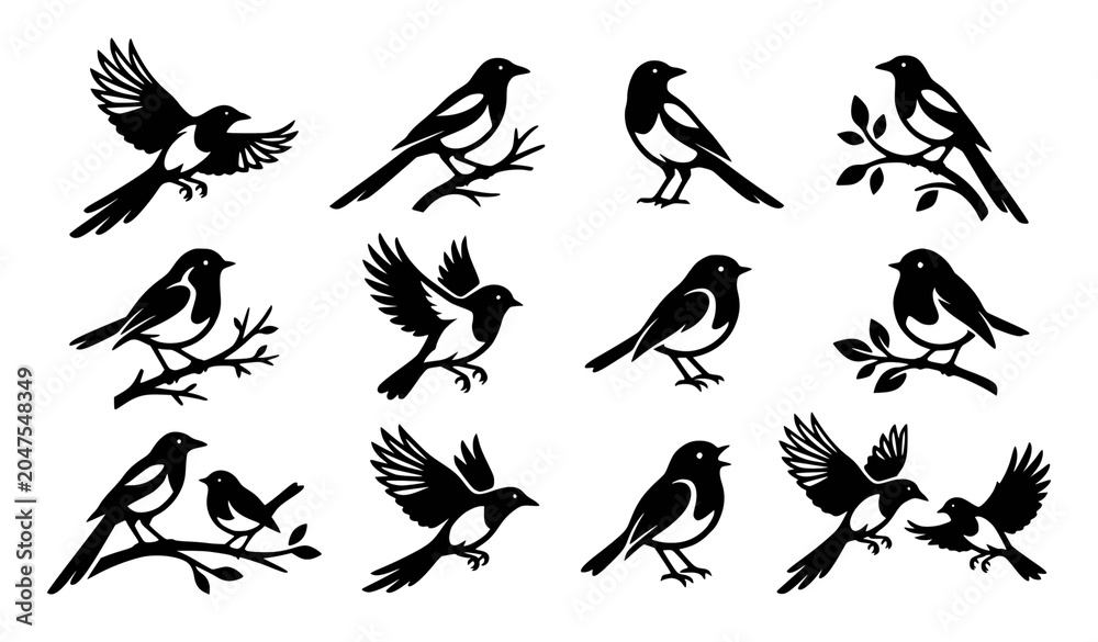 Fototapeta premium Minimal bird logo collection magpie robin silhouette vector isolated on white
