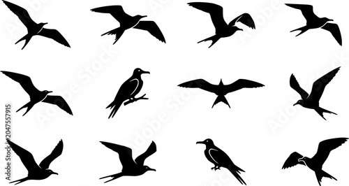 Great frigate silhouette icon set, flat black glyph style, pure white background