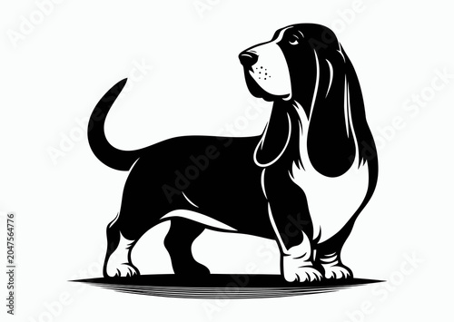 Basset Hound Dog, black and white vector silhouette
