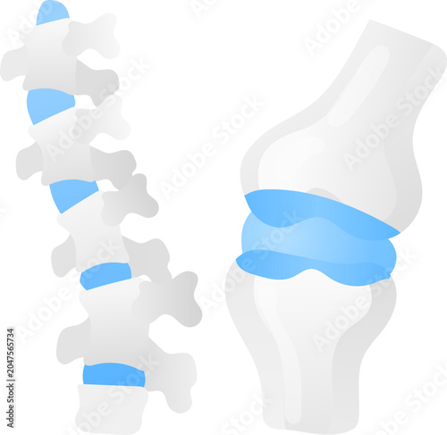 Quadro su tela Spine joint cartilage bone medical anatomy skeletal vertebra knee blue orthopedi