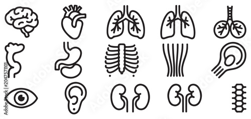 Foto Human body anatomy and skeletal system icons vector