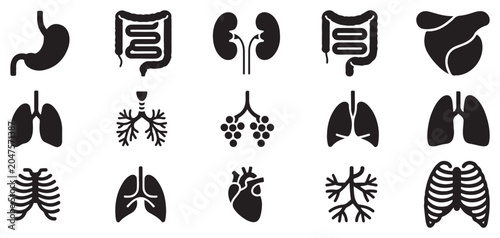 Tableau sur toile Minimalist human organ line icons for infographic design