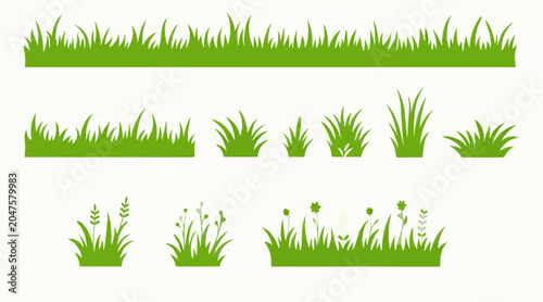 Green Grass Illustrations and Growth Stages for Nature Designs
