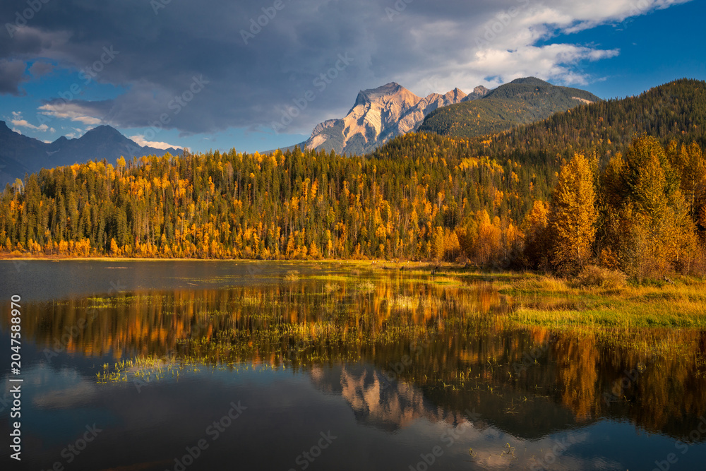 Naklejka premium Mount Robson reflecting in Moose Lake in autumn