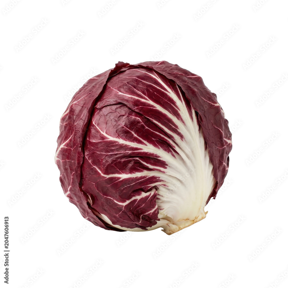 Fototapeta premium Whole radicchio plant